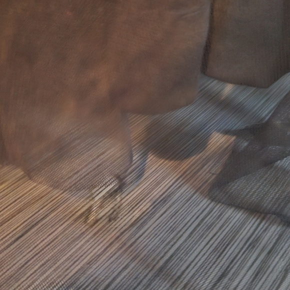 Adrianna papell beaded gown - Picture 5 of 5